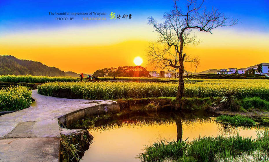 The beautiful impression of Wuyuan