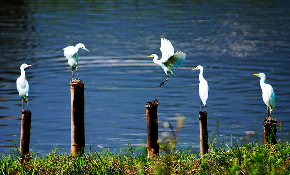 Enjoy the natural beauty in Pu'er, SW China's Yunnan Province