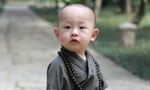 Xichan Temple's little monk hit the Internet
