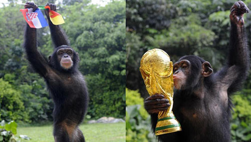 Animals predicting World Cup results