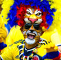 'Animals' in 2014 World Cup