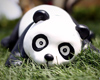 "1st Panda" show held in Shenyang to promote environmental awareness