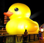 Rubber Duck settles in Guiyang new urban area