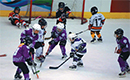 Beijing bid promotes life on the ice