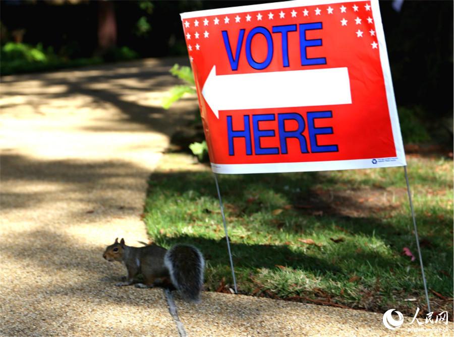 U.S. citizens vote in 2014 mid-term elections