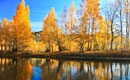 Autumn scenery in Keketuohai, Xinjiang