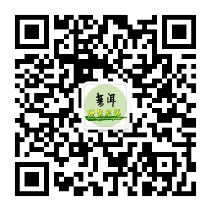 Pu'er opens official WeChat account