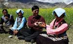 Second generation Tibetans