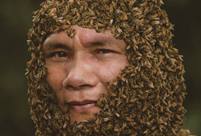 Legendary life of a bee-keeping master in Hainan