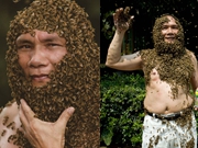 Legendary life of a bee-keeping master in Hainan