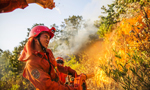 Blaze and glory: brilliant photos of China's mountain firefighters on the frontlines