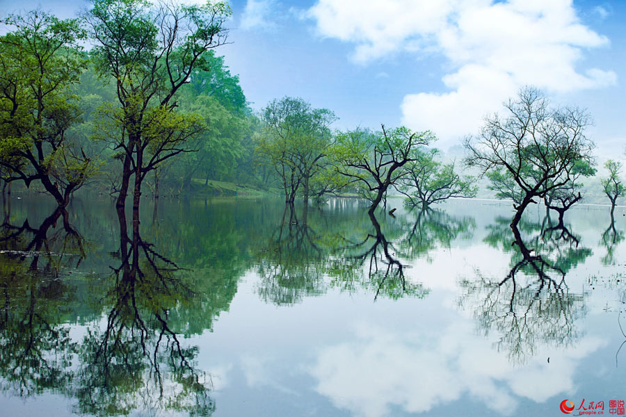 Picturesque Mazhou Forest in Jiangxi