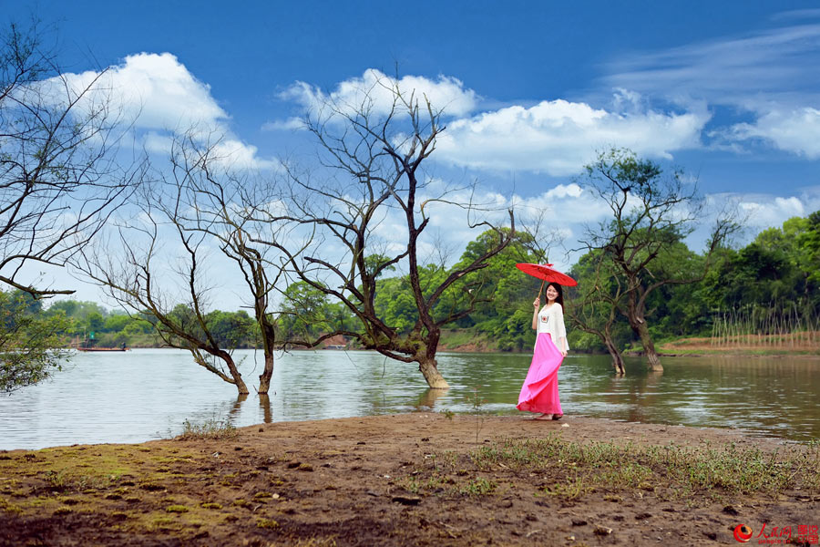 Picturesque Mazhou Forest in Jiangxi