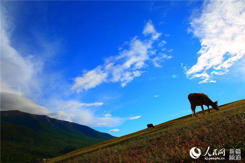 Shangri-la in Xinjiang