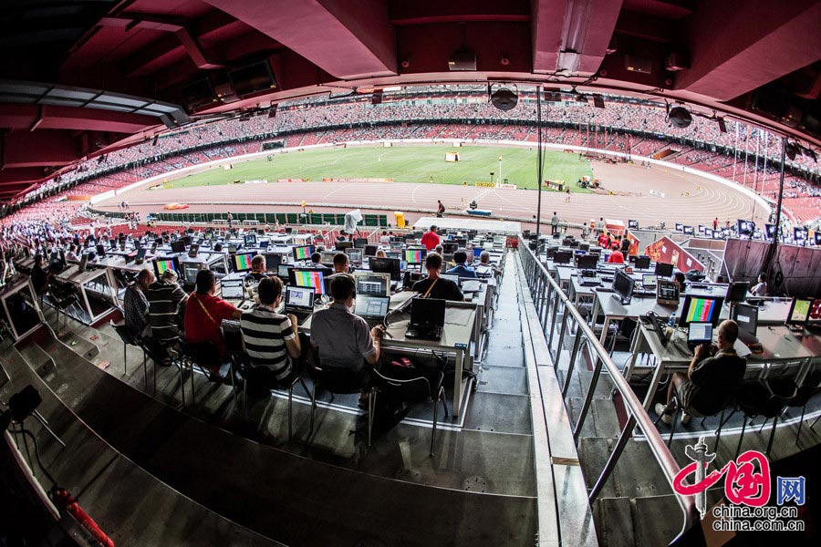 Bird's nest through 'fish-eye lens' 