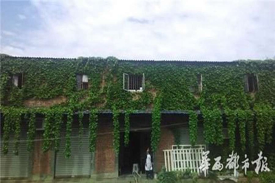 Ivy-covered house witnesses love of 23 years