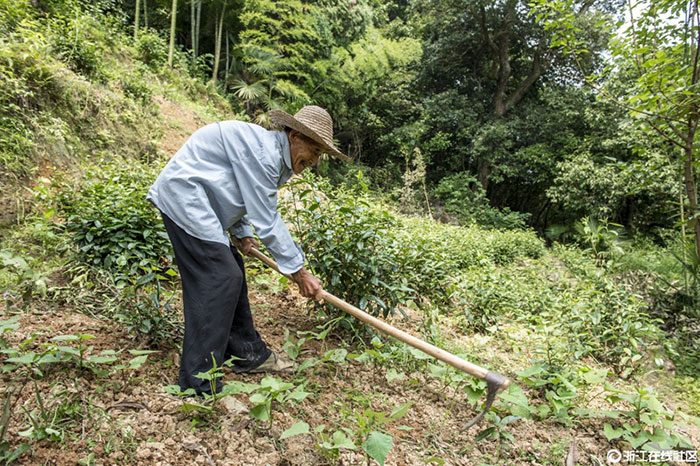 Story of a veteran fought in anti-Japanese war 