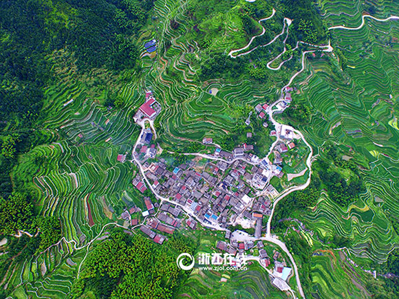 Intoxicating aerial photos of terrace field