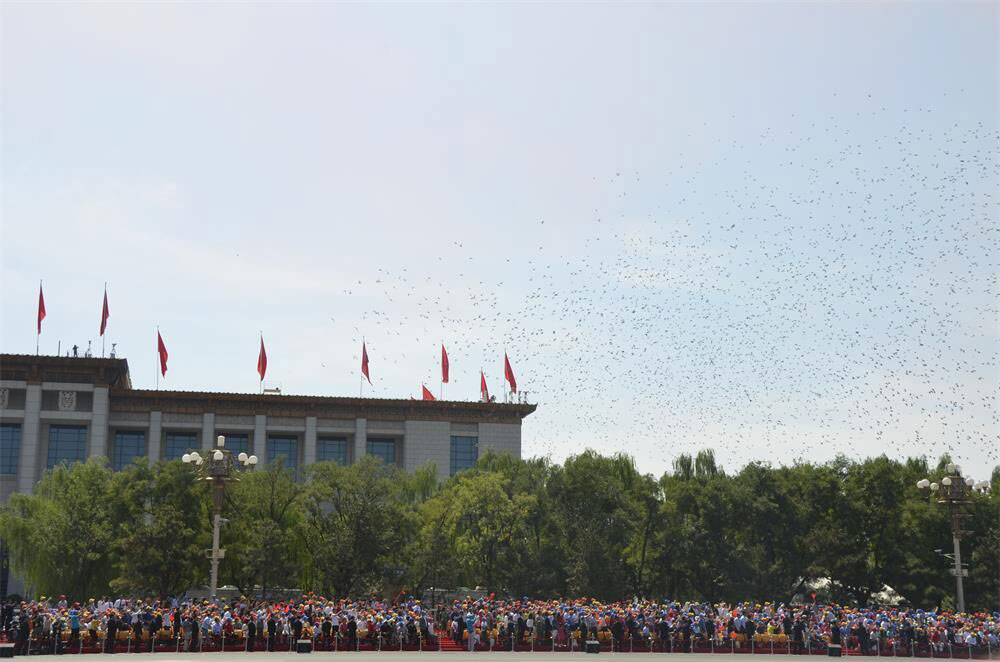 Hundreds and thousands of white doves are released, marking the end of the grand V-Day parade