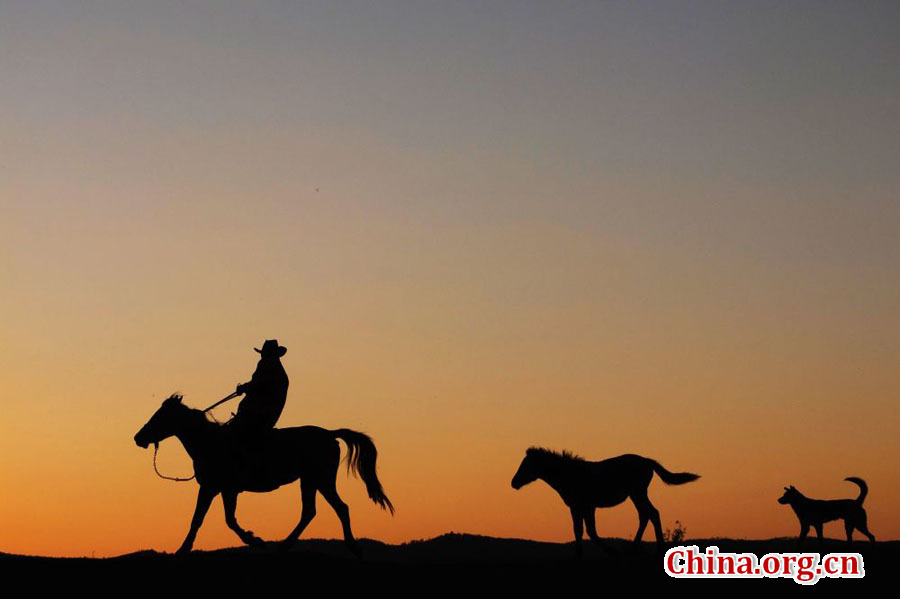 Picturesque Hulun Buir grassland in early autumn