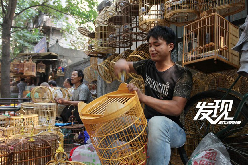 Bird market hidden in Xi’an ancient street