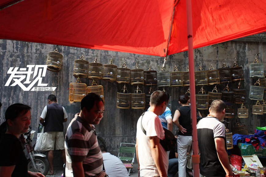 Bird market hidden in Xi’an ancient street