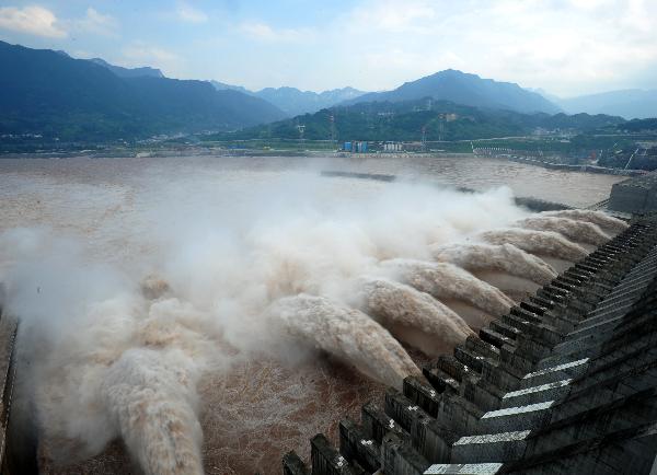 Auditors find more Three Gorges problems