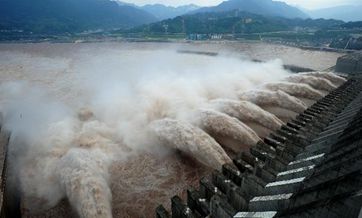Auditors find more Three Gorges problems