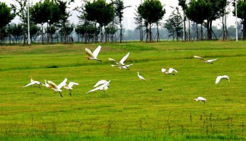 Three honored as China's top eco-cities revealed