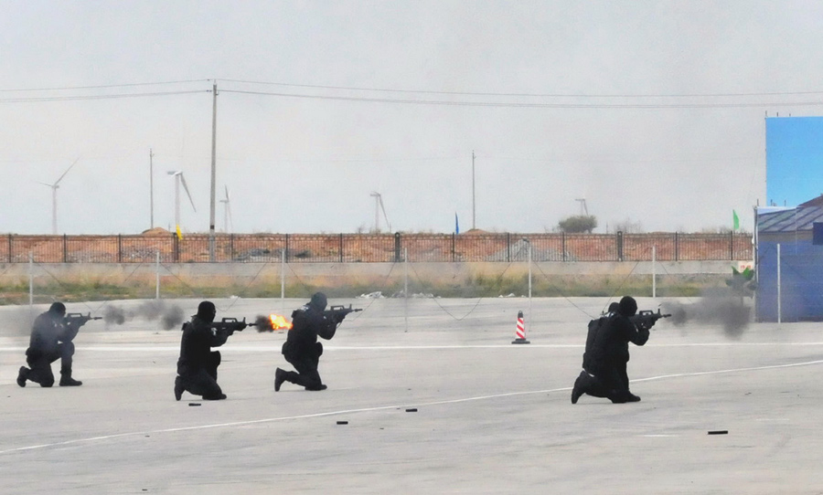 Joint anti-terrorism drill held in China-Mongolia border region