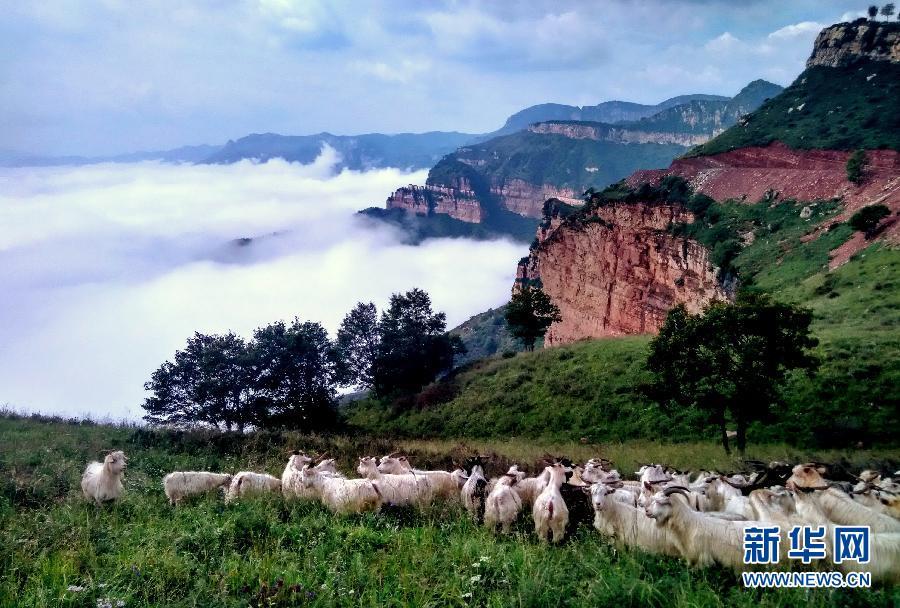 Magnificent sea of clouds appears in Taihang Mountains