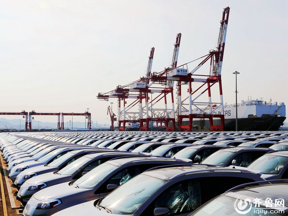 1,650 imported cars land in Qingdao port