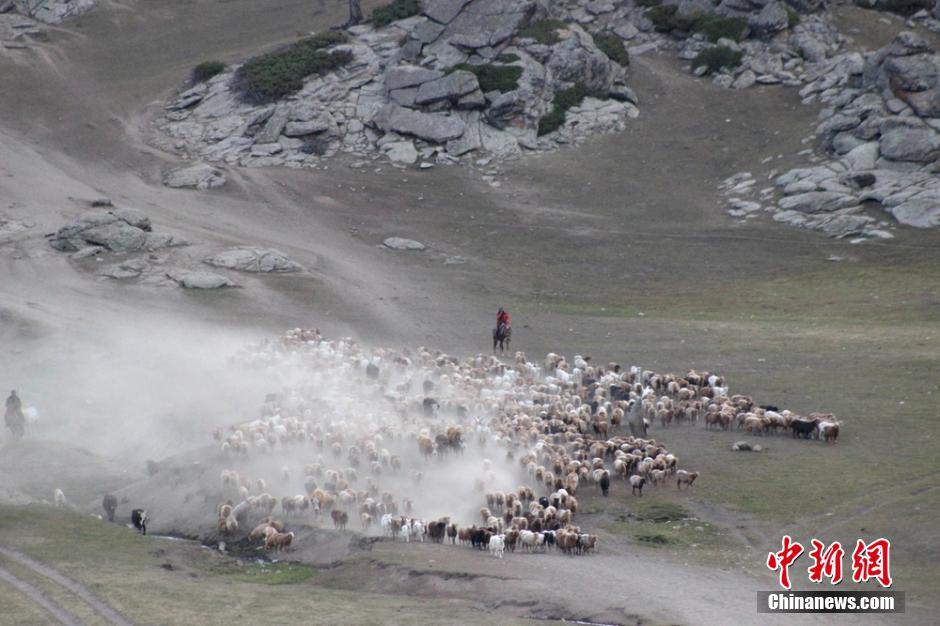 Spectacular migration of herdsmen in Xinjiang