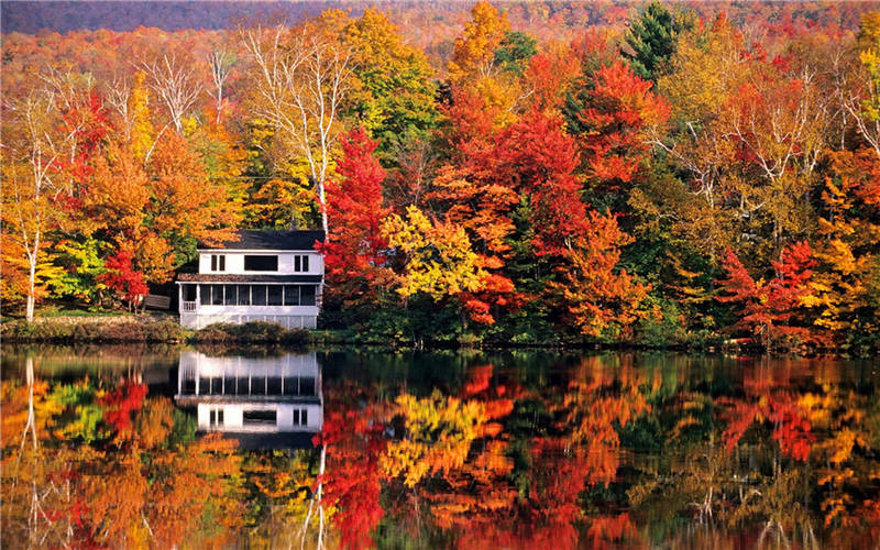 Bright-colored autumns around the world