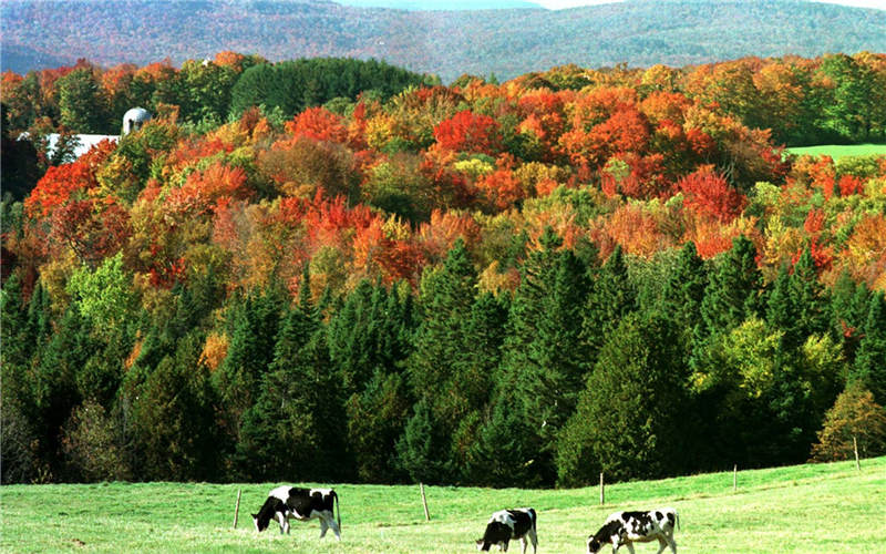 Bright-colored autumns around the world