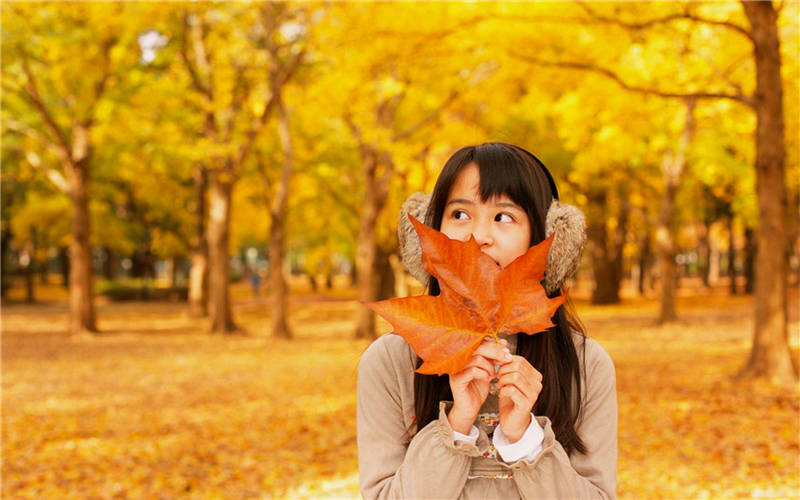 Bright-colored autumns around the world