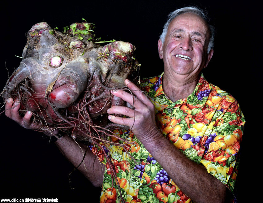 Champions show off giant vegetables in England
