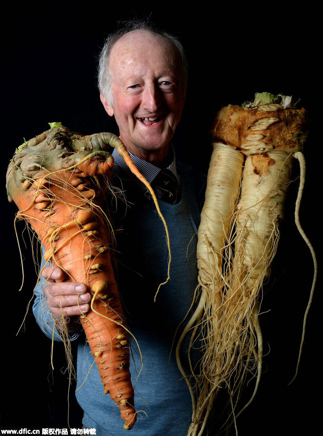 Champions show off giant vegetables in England