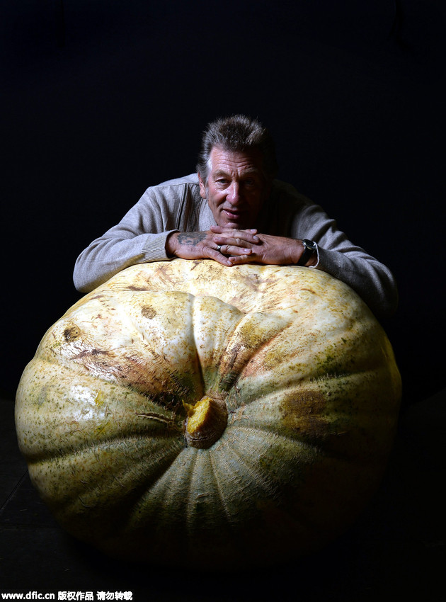 Champions show off giant vegetables in England