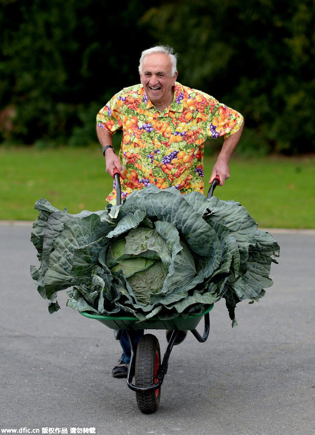 Champions show off giant vegetables in England