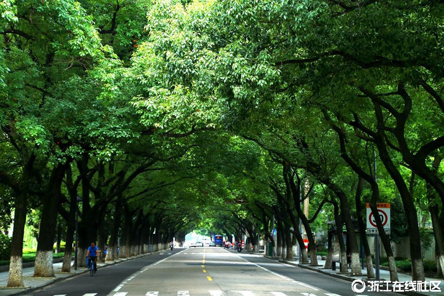 Beautiful road in E China