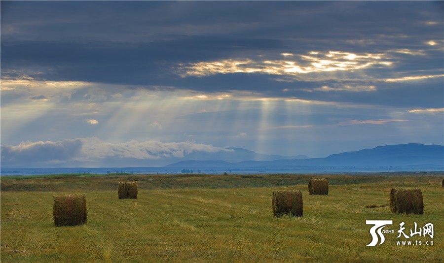 Rolls of grass: a beautiful landscape on Zhaosu Prairie