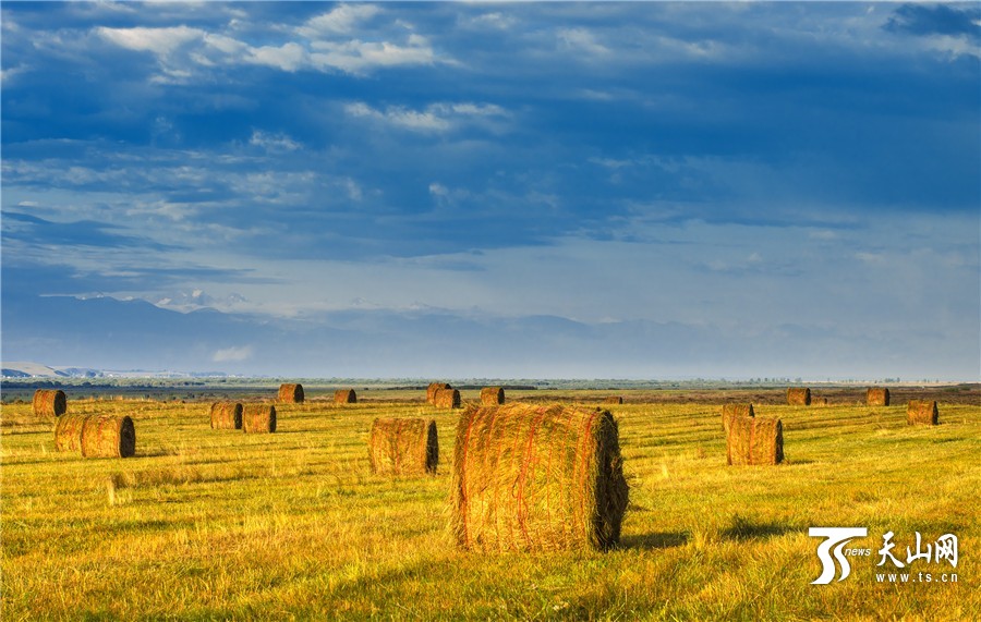 Rolls of grass: a beautiful landscape on Zhaosu Prairie