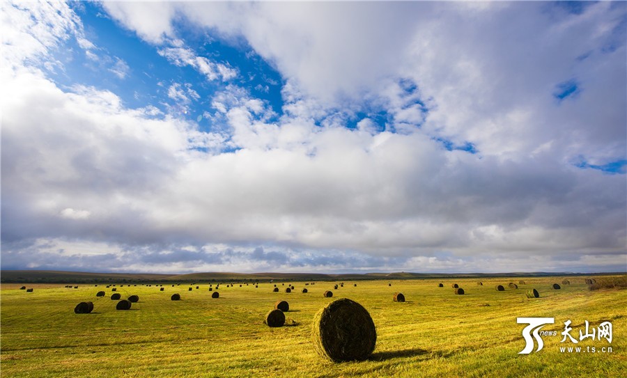 Rolls of grass: a beautiful landscape on Zhaosu Prairie