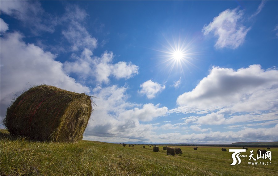 Rolls of grass: a beautiful landscape on Zhaosu Prairie