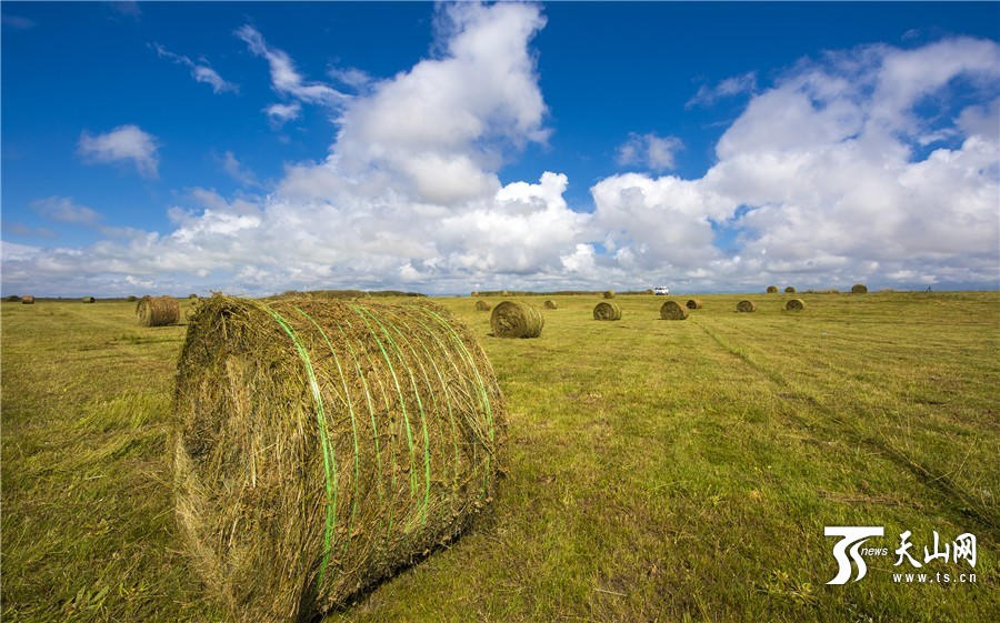 Rolls of grass: a beautiful landscape on Zhaosu Prairie