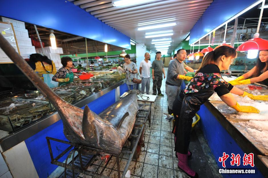 Qingdao fisherman catches 345kg 