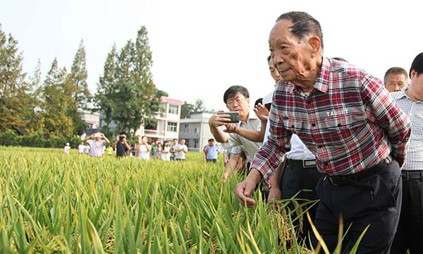Average per mu yield of China's super hybrid rice set new world record