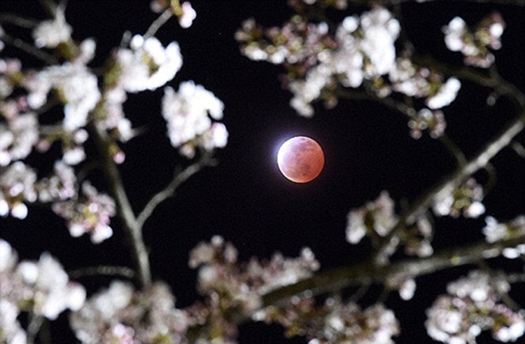 Rare supersize blood-red moon to be seen during Mid-autumn festival