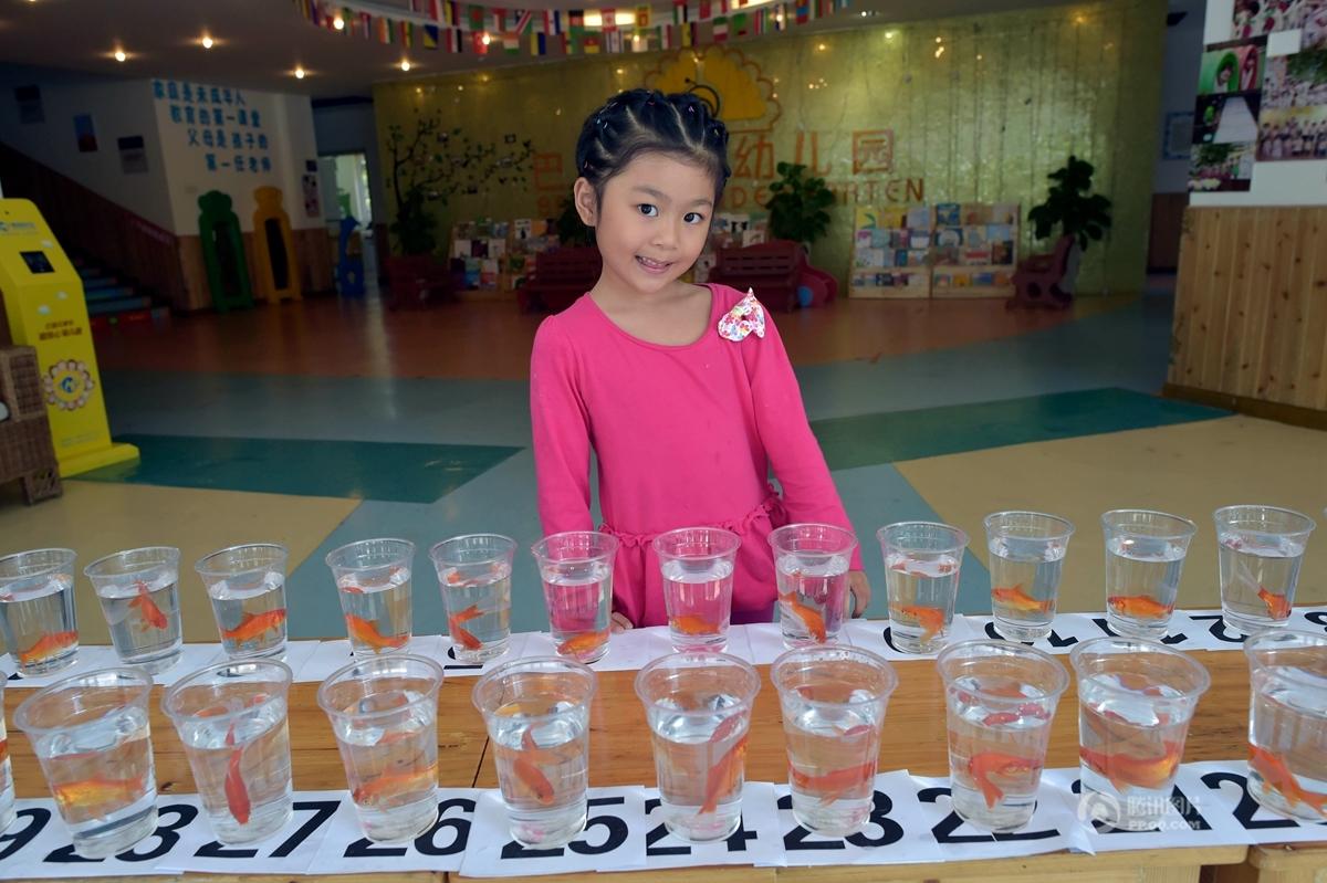 Four-year-old girl picks the designated gold fish among the 30 in 9 mins